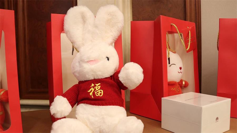 勇毅進取，順風飛揚 | 2023年 藍鵬測控年會  陽光普照獎 到場員工紀念玩偶